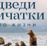 «Медведи Камчатки. Начало жизни» (6+) - Газета Вперёд