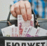 Дополнительные средства поступят в бюджет города Брянска - Газета Вперёд