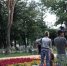 Подобие сквера Морозова жители Брянска хотят увидеть в своих дворах - Газета Вперёд