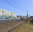 На Московском проспекте в Брянске пройдет восстановление газонов и тротуаров - Газета Вперёд