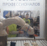 Выставка «Комфортная экосреда региона» открылась в Брянске на СМЭФ-2019 - Газета Вперёд