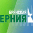 Канал «Брянская губерния» будет транслироваться  в федеральном эфире - Газета Вперёд