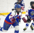 Благотворительный турнир по хоккею состоится в Брянске (6+) - Газета Вперёд