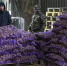Практически на треть увеличился экспорт брянских продуктов - Газета Вперёд