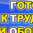 В Погаре прошел фестиваль Всероссийского физкультурно-спортивного комплекса ГТО - Газета Вперёд
