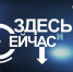 Наталья Новикова станет гостем «Брянской Губернии» - Газета Вперёд