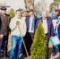 В парке Культуры и отдыха Погарского района высадили туи. - Администрация Погарского района