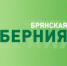 В Клетнянском районе будут выращивать яблоки по сербским технологиям - Газета Вперёд