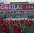 О партизанах Брянщины – на телеканале ОТР - Газета Вперёд