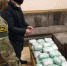 На территории Брянской области с крупной партией наркотиков задержан участник преступной группировки - Газета Вперёд