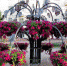 В Суземском районе за 5 млн рублей построят три новых сквера - Газета Вперёд