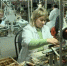Программа по профессиональному обучению работает в Брянской области - Газета Вперёд