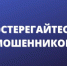 Желающих купить поддельную вакцину от COVID-19 на Брянщине предупредили об отвественности - Газета Вперёд