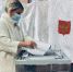 Инна Мухина проголосовала в Брянске - Газета Вперёд