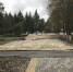 В Локте Брянской области началось благоустройство сквера Мира - Газета Вперёд