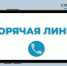 В Брянске запустили горячую линию по вопросам в системе образования - Газета Вперёд