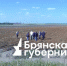 Представители брянских властей и депутаты побывали на картофельных полях - Газета Вперёд