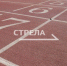 Три брянских тренера получат квартиры - Газета Вперёд