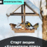 Как сделать правильную кормушку и помочь пернатым зимой: стартовала акция «Хранители птиц» - Газета Вперёд