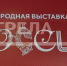 Участие в стратегической сессии на выставке-форуме «Россия» принял Александр Богомаз - Газета Вперёд