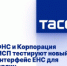 ФНС и Корпорация МСП тестируют новый интерфейс ЕНС для юрлиц - Газета Вперёд