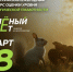 Брянцев приглашают принять участие в экологическом тестировании «Зелёный Зачёт» - Газета Вперёд