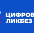 В новом сезоне «Цифрового ликбеза» от Авито Ряпушка Варя и Налим Максим учатся безопасно покупать товары с доставкой и искать подработку - Газета Вперёд