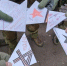 Школьники Брянской области написали письма росгвардейцам на приграничье - Газета Вперёд