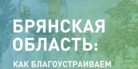 Две недели осталось до окончания голосования за объекты благоустройства в Брянской области - Газета Вперёд