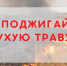На территории Брянской области проходит профилактический месячник «Сухая трава» - Администрация Погарского района