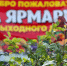 Ярмарки выходного дня продолжают работу на Брянщине - Газета Вперёд