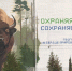 На здании брянской школы 59 появился мурал с заповедным зубром - Газета Вперёд