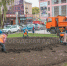 К посадке тюльпанов приступили в Брянске - Газета Вперёд