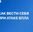 Сохраняем бдительность и действуем сообща - Газета Вперёд