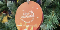 Участие в новогодней акции «Елка желаний» принял брянский Губернатор Александр Богомаз (0+) - Газета Вперёд