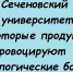 Сеченовский университет: некоторые продукты провоцируют неврологические болезни - Газета Вперёд