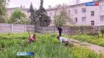 Первые ирисы расцвели в брянском ботаническом саду