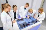 Итоги Единой модели профориентации подвели в России