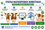Об учете животных, подлежащих индивидуальному или групповому маркированию и учету